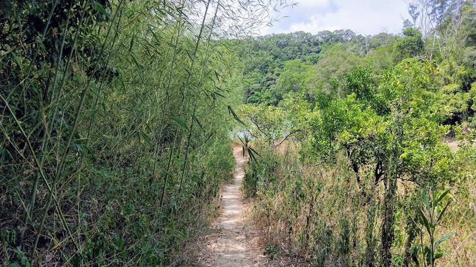 新竹步道 - 寶山水庫環湖步道