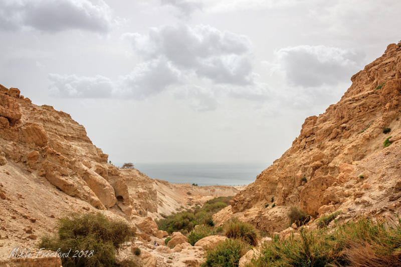 Израиль в фотографиях. Национальные парки, еврейские и христианские памятники. Фото-путеводитель на две недели