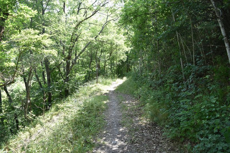 La ligne de la Festiniere au Peychagnard niveau 10