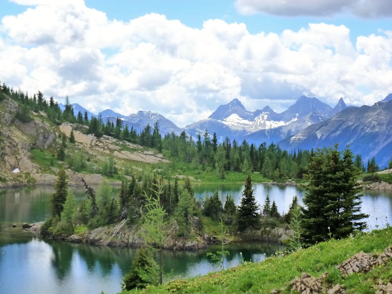 Cammore, Banff (Sunshine Meadow y Gondola) y llegada a Field. 1 de Julio - LAS ROCOSAS DE CANADA. YELLOWSTONE Y GRAND TETON. (9)