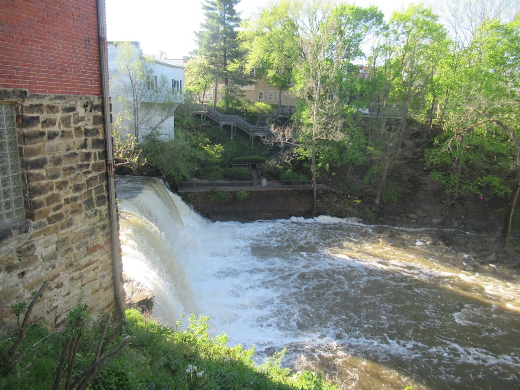 20210501 – Chagrin Falls – Riverside Park - Hiking with Doc