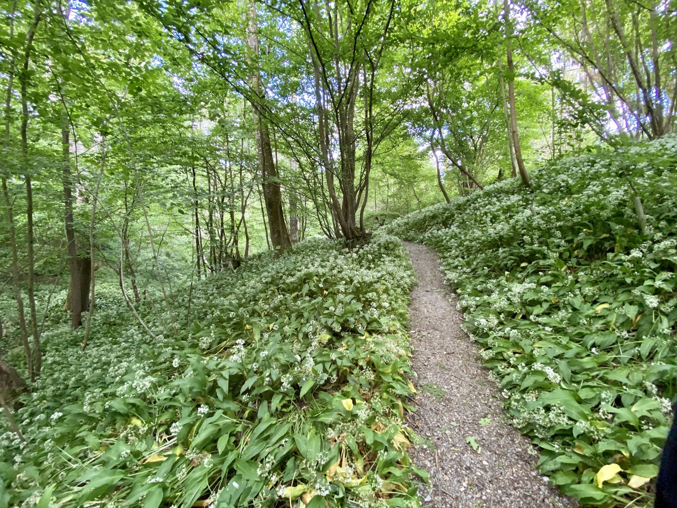 Hole Park Gardens Rolvenden