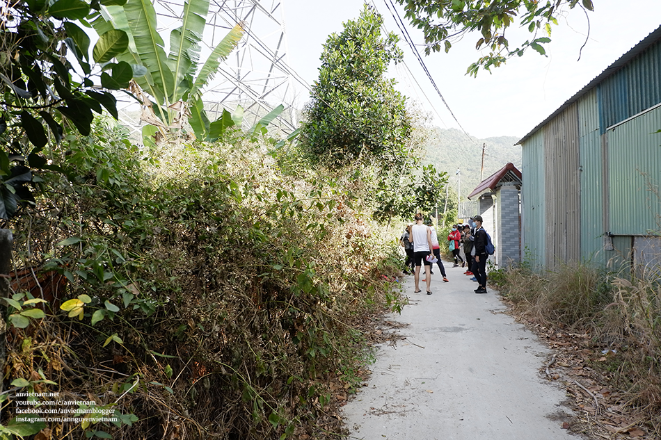 Đi tour trekking núi Dinh và ghé thăm Thiền Tôn Phật Quang (chùa Phật Quang) ở Bà Rịa – Vũng Tàu