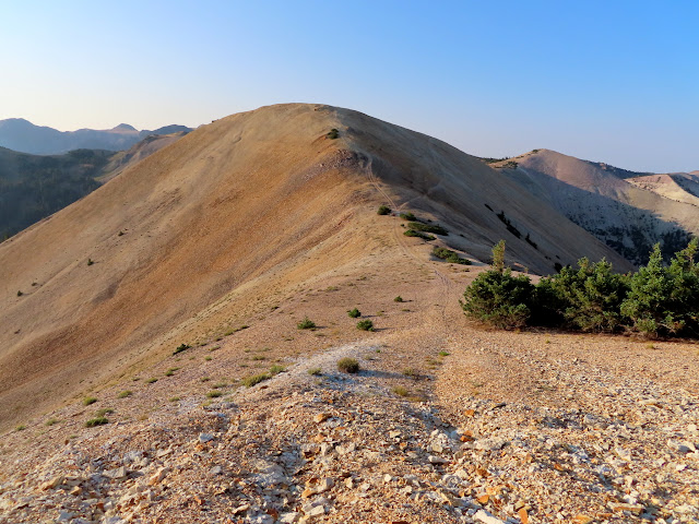 On top of the ridge