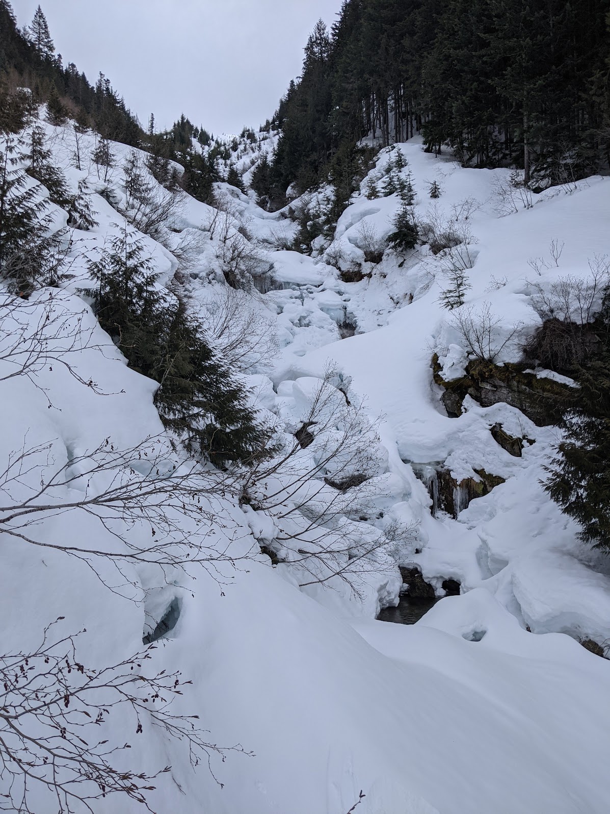 Looking up the creek (Scott)