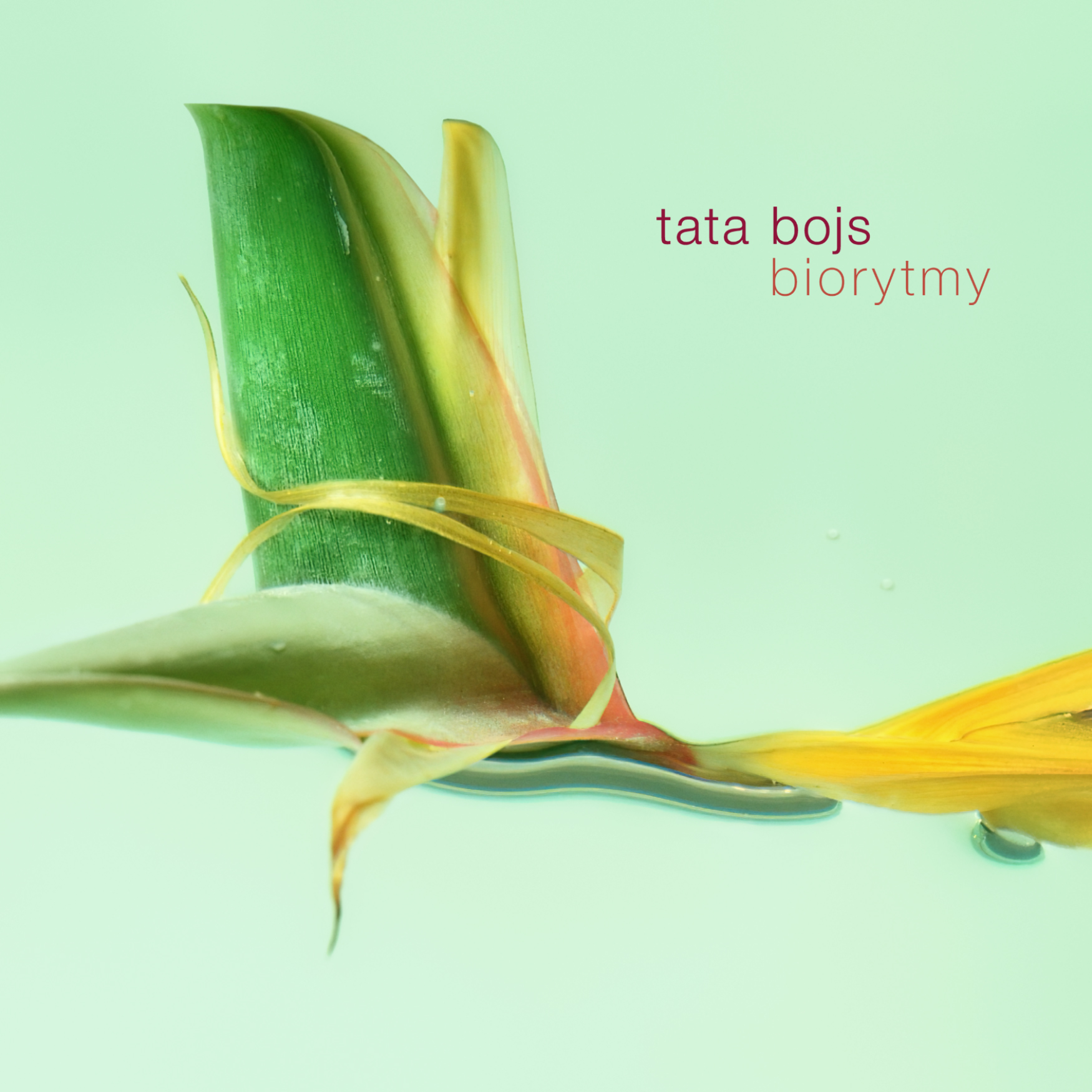 
Album Artist: Tata Bojs / Album Title: Biorytmy