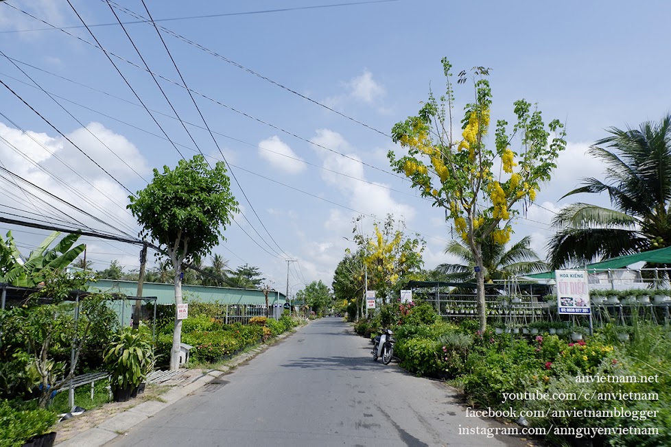 Dạo lòng vòng làng hoa Sa Đéc