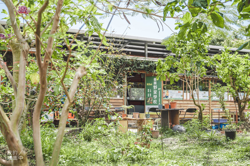 《花蓮景點推薦》品嘗洄瀾的山海療癒之旅 夜幕裡的螢火蟲巡禮、在蔚藍海洋中尋覓鯨豚蹤跡 @我的旅圖中 during my journey