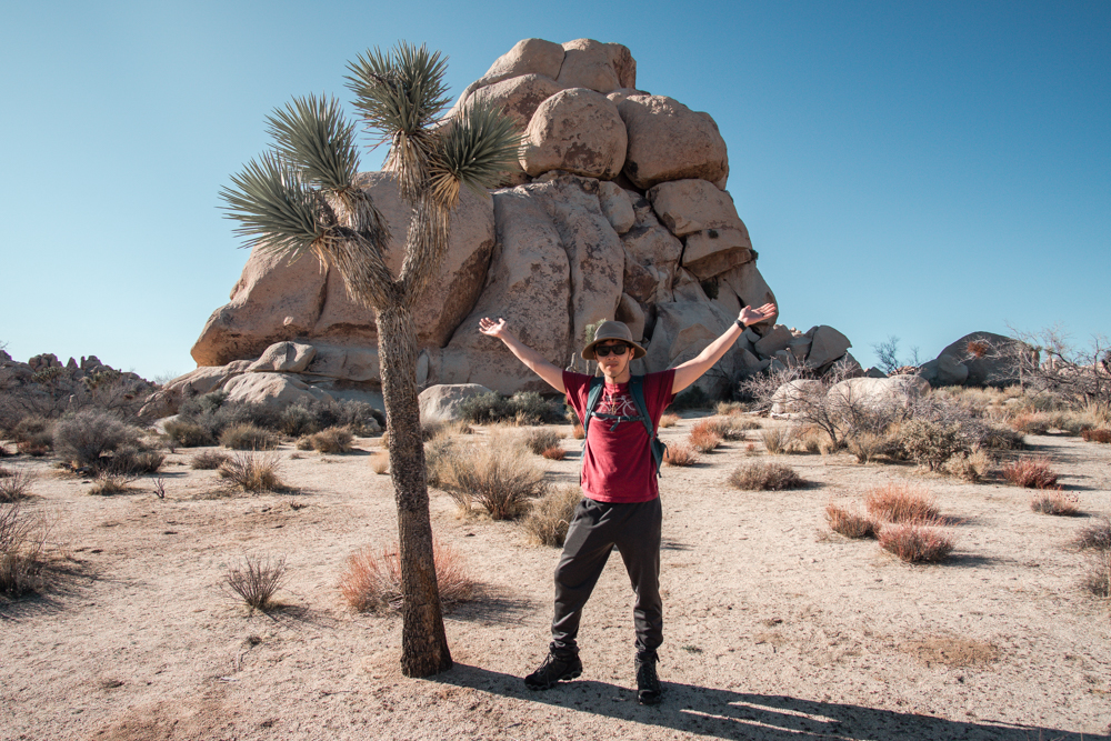 HB with Joshua Tree