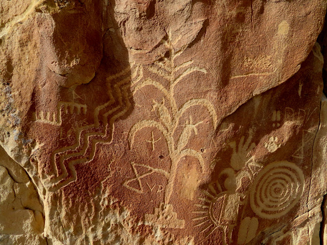 Large corn stalk petroglyph