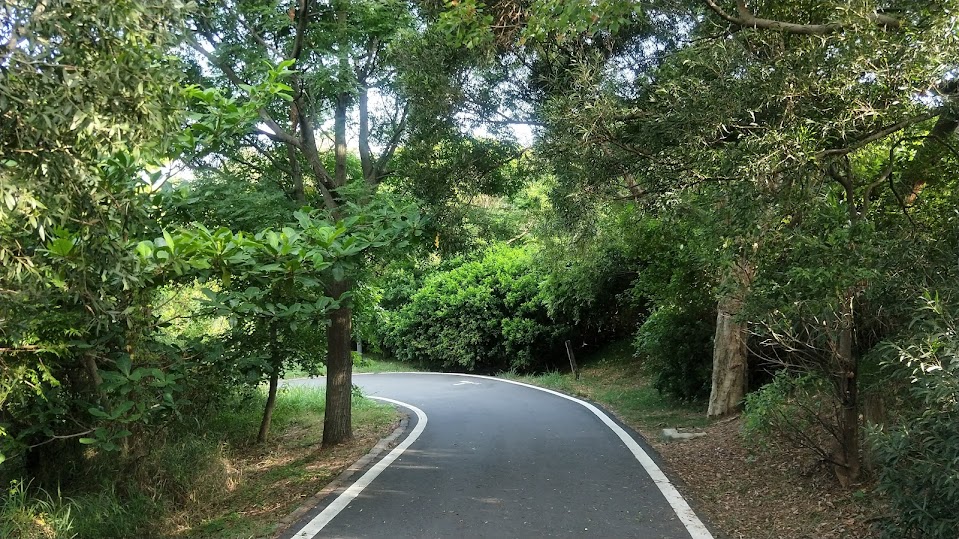 新竹 香山 - 青青草原 - 青青步道(柏油路)