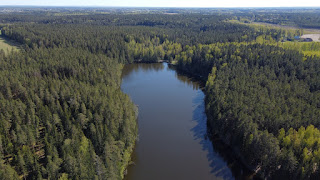 Saesaare paisjärv