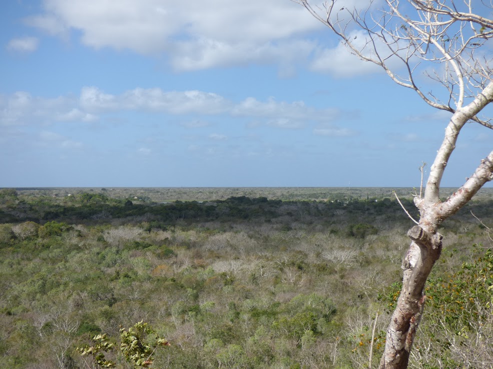 site de coba