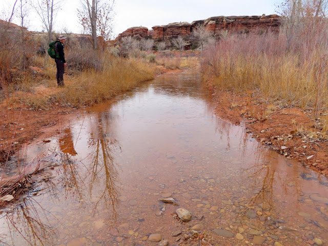 Water with a thin layer of ice on the road