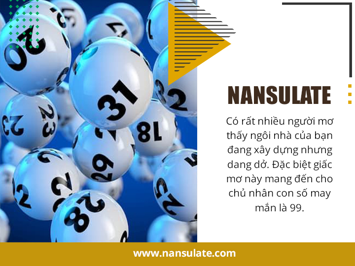 Nansulate - Giải mã giấc mơ 2020