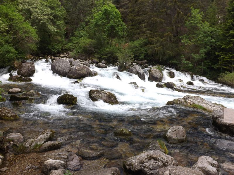 La source des Gillardes grande