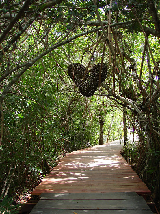 laguna kaan lum 