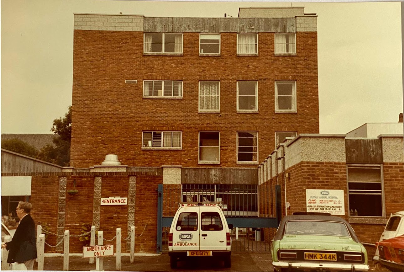 An old photograph of the RSCPA Putney building in London and an ambulance van.