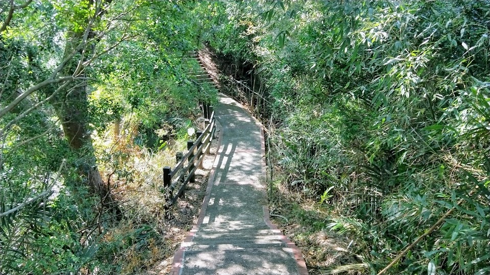 新竹步道 - 十二寮山登山步道