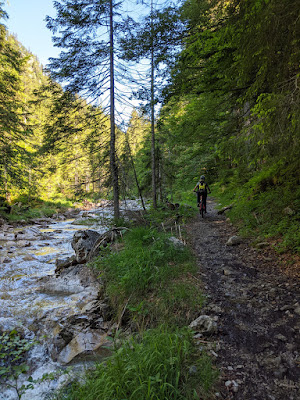 This was fun ascending singletrack