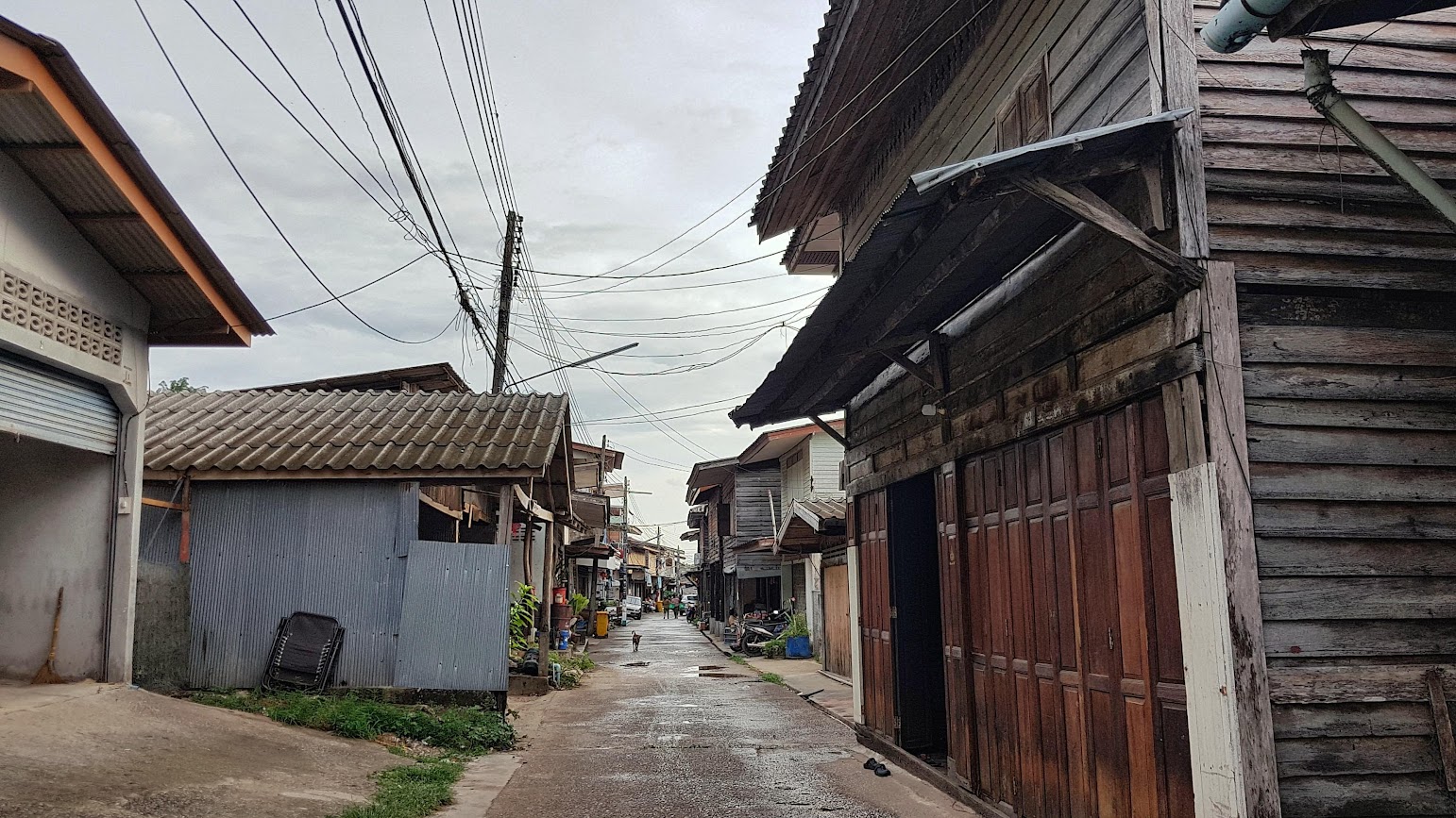 Ban Lep Karok
Chumphon Province
Thailand
Residential street
Dog