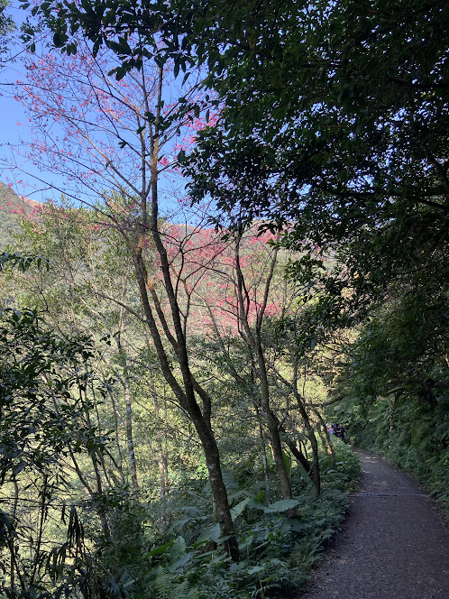 Mt. Sanjiaolun 三角崙山