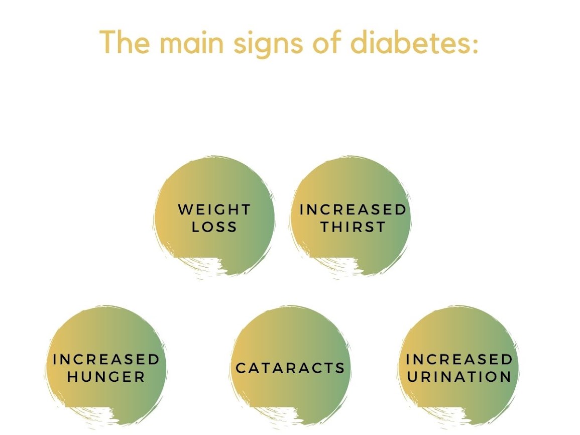 A colourful diagram explaining the main signs of canine diabetes mellitus