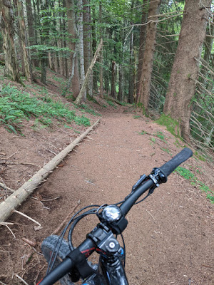 Wasenkogel trail, alternative