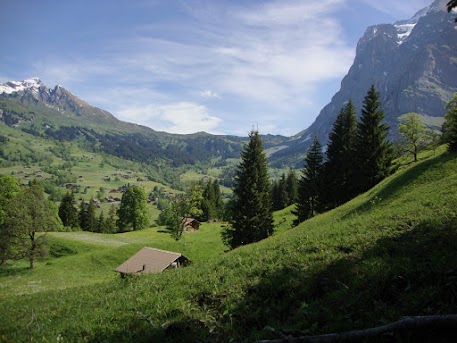 SEPTIMO DIA: GRINDELWALD - curiosidades sobre un viaje por suiza (5)