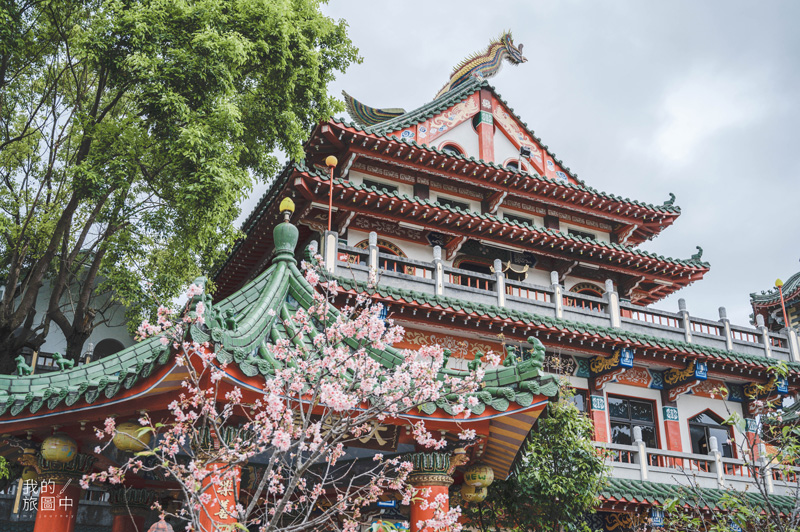 《花蓮景點推薦》品嘗洄瀾的山海療癒之旅 夜幕裡的螢火蟲巡禮、在蔚藍海洋中尋覓鯨豚蹤跡 @我的旅圖中 during my journey