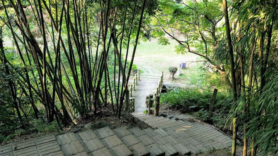 新竹景點|步道-高峰植物園