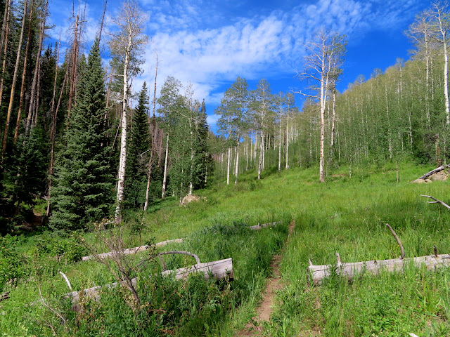 Nearing the head of the canyon