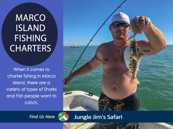 Marco Island Fishing Charters