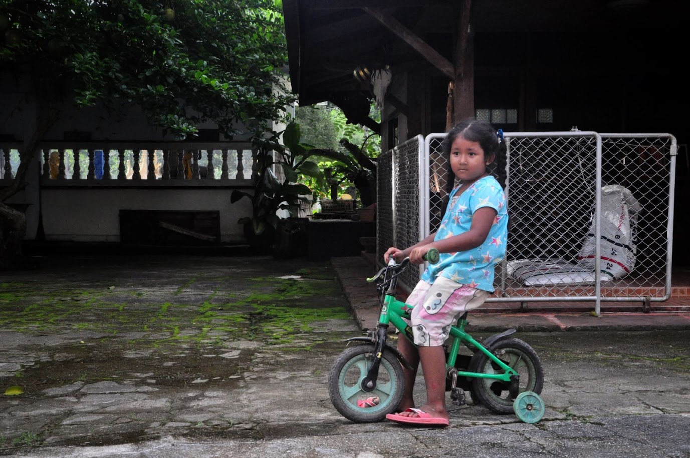 Wat Hat Sompaen Temple
Ranong
Thailand
Thai girl on bike