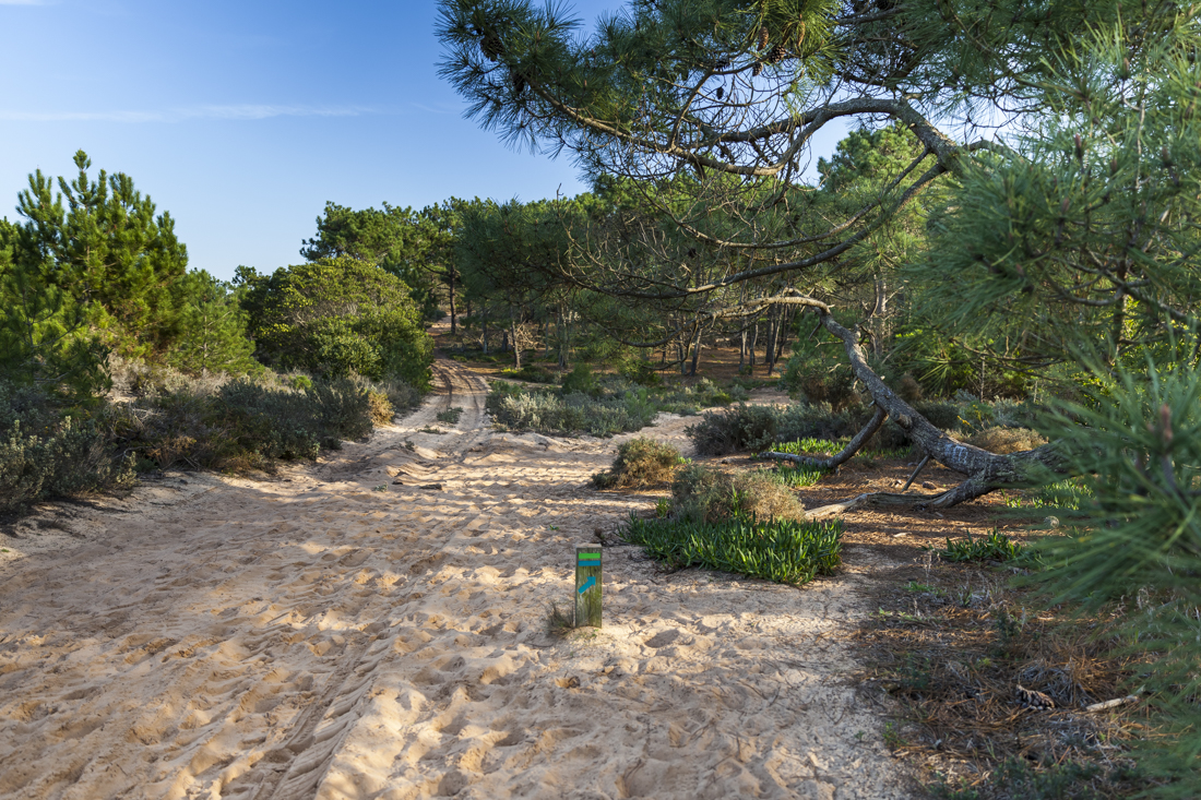 Треккинг на юге Португалии в январе: Rota Vicentina и Fishermen's trail (много фото)