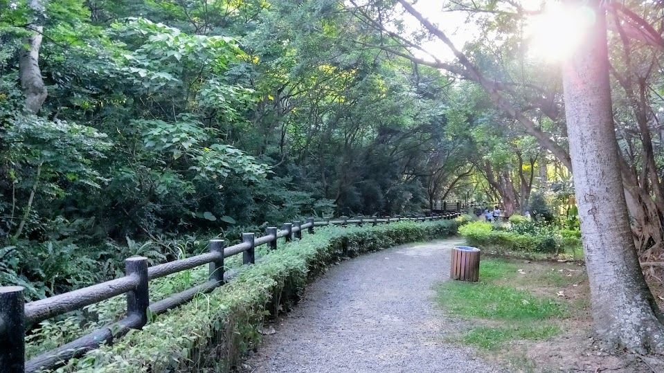 新竹景點|步道-高峰植物園