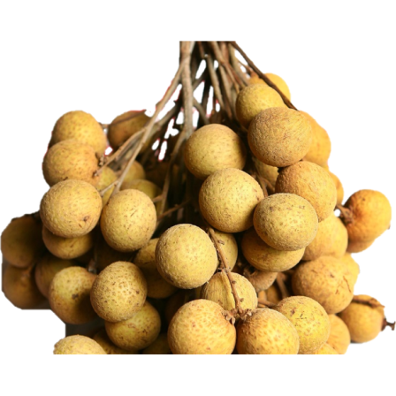 longan 龍眼