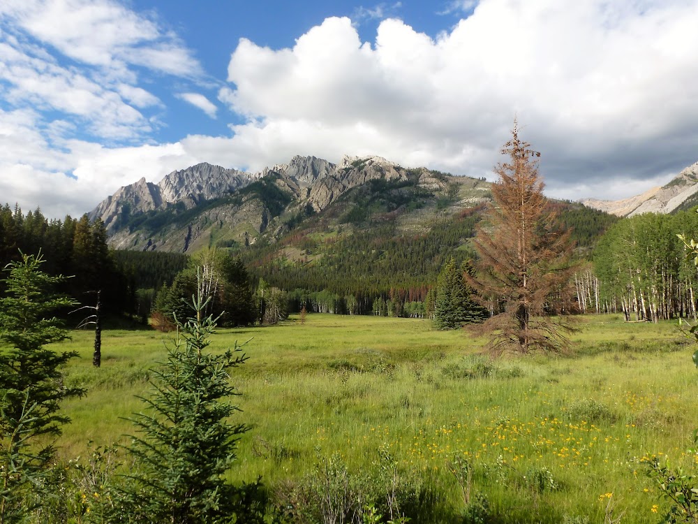 Cammore, Banff (Sunshine Meadow y Gondola) y llegada a Field. 1 de Julio - LAS ROCOSAS DE CANADA. YELLOWSTONE Y GRAND TETON. (25)