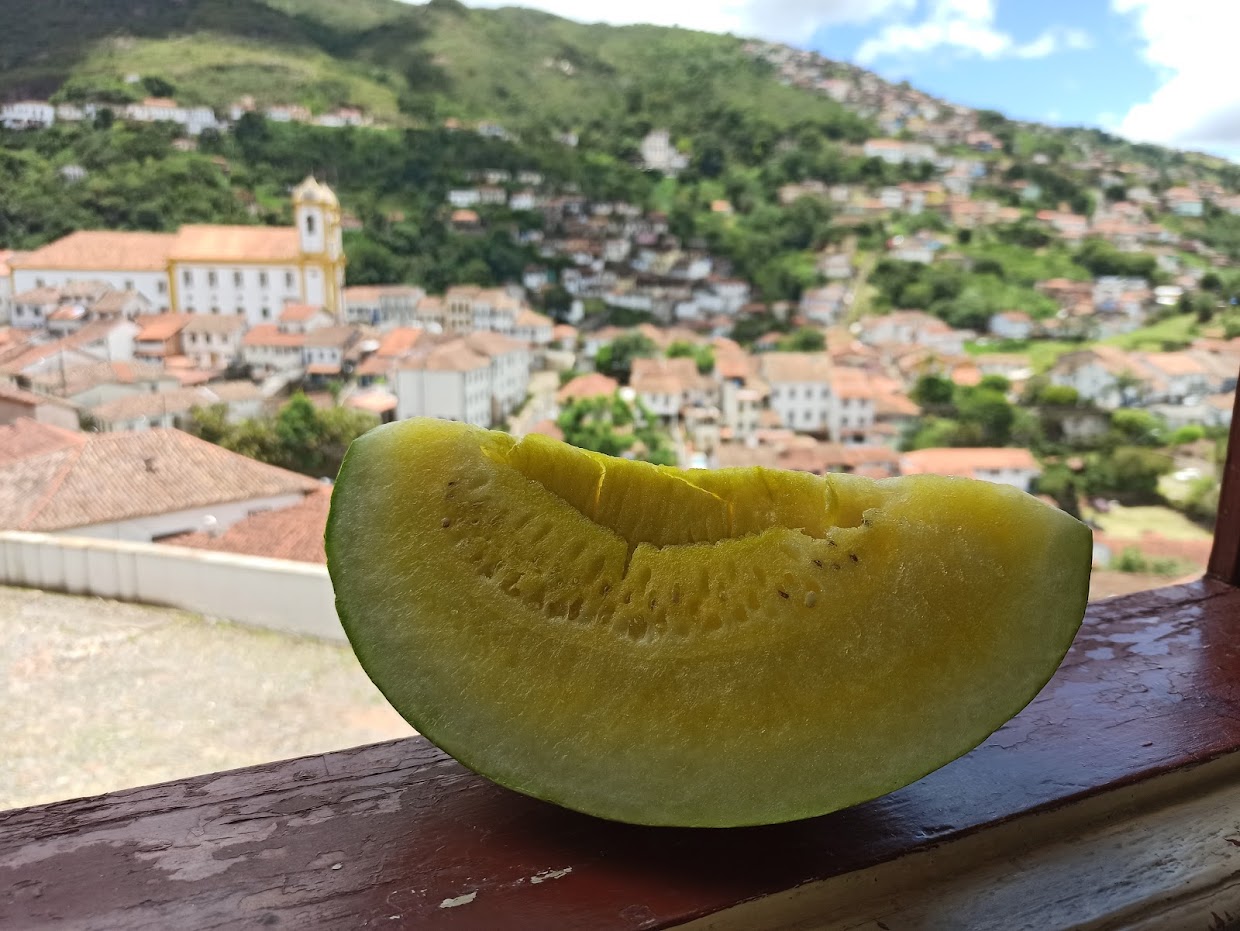 Почти что Caminho real (Minas Gerais и вокруг Cabo Frio, янв. 2021)