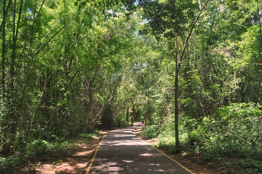 The beginning of the trail to erawan falls