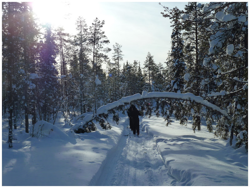 Promenade en terres same (frontière suédo-finlandaise) - Page 3 ACtC-3fw4F9TNDP5V-qI1FVx4O2qiYYUaffVoWwLpWQNQIkx9VPGNorcZ8Be2NbUv0KqO78pkVxu4V9lGPgbtNRQ6ICvd_WDrg5C0P7ChHUWsdQJtVbiua0QLaBQoECzmzaRkHGxxho2jF3MsAlpbJFKvMcM=w800-h603-no