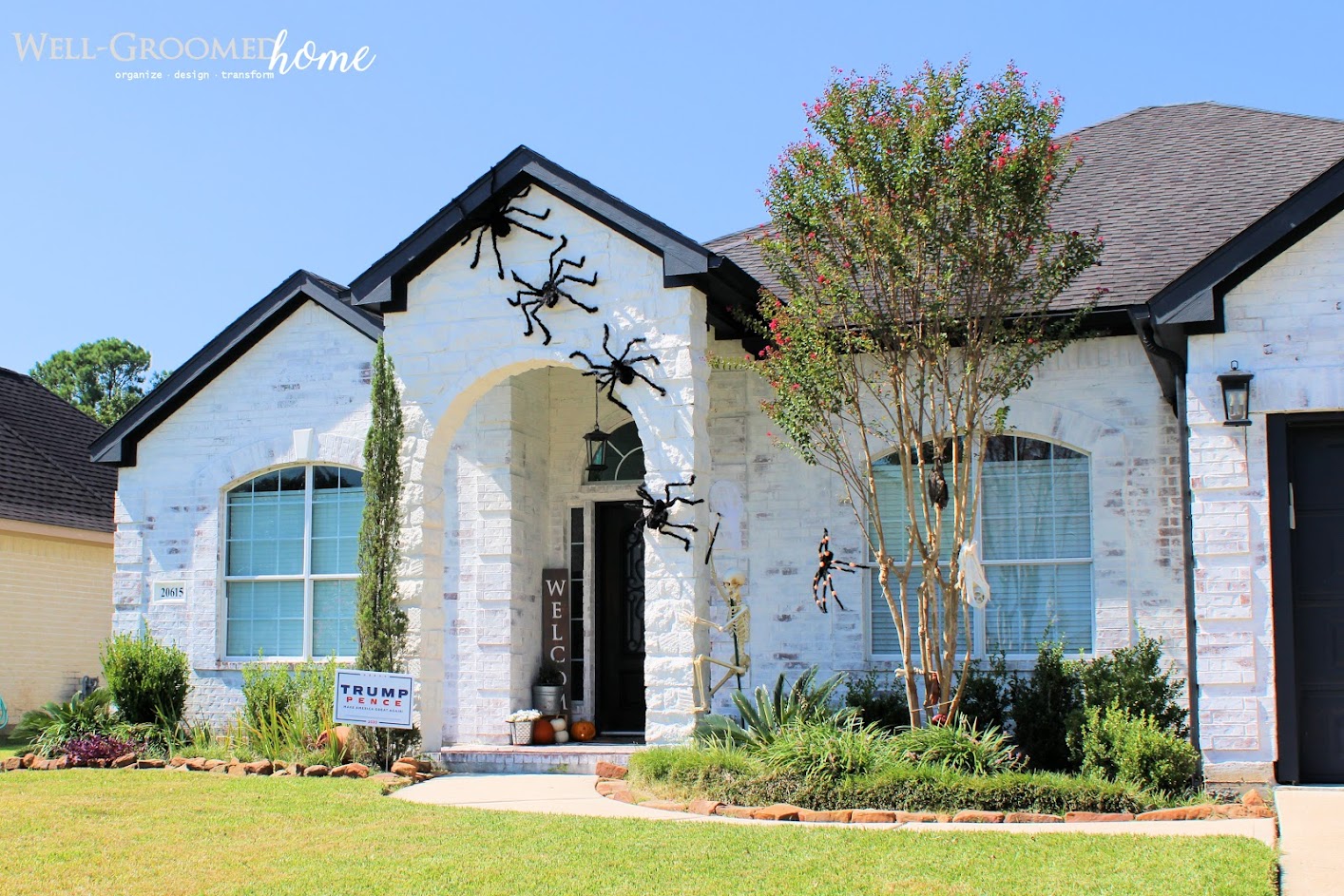 halloween spider decor