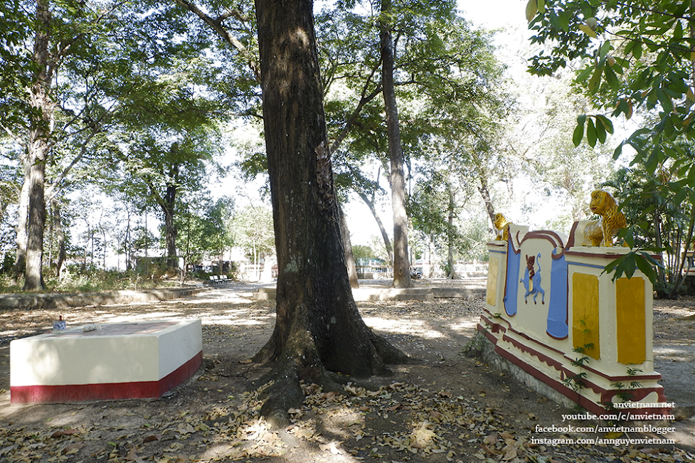Thú vị đình Tân An (đình Bến Thế) ở Bình Dương với hai cây đa quấn quanh cổng đền
