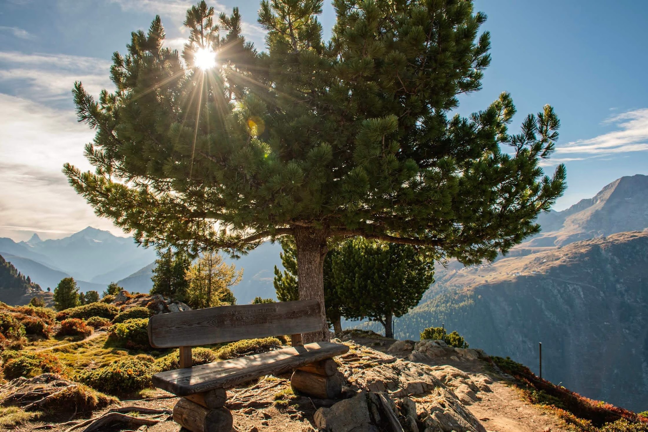 Aletsch arena zomer