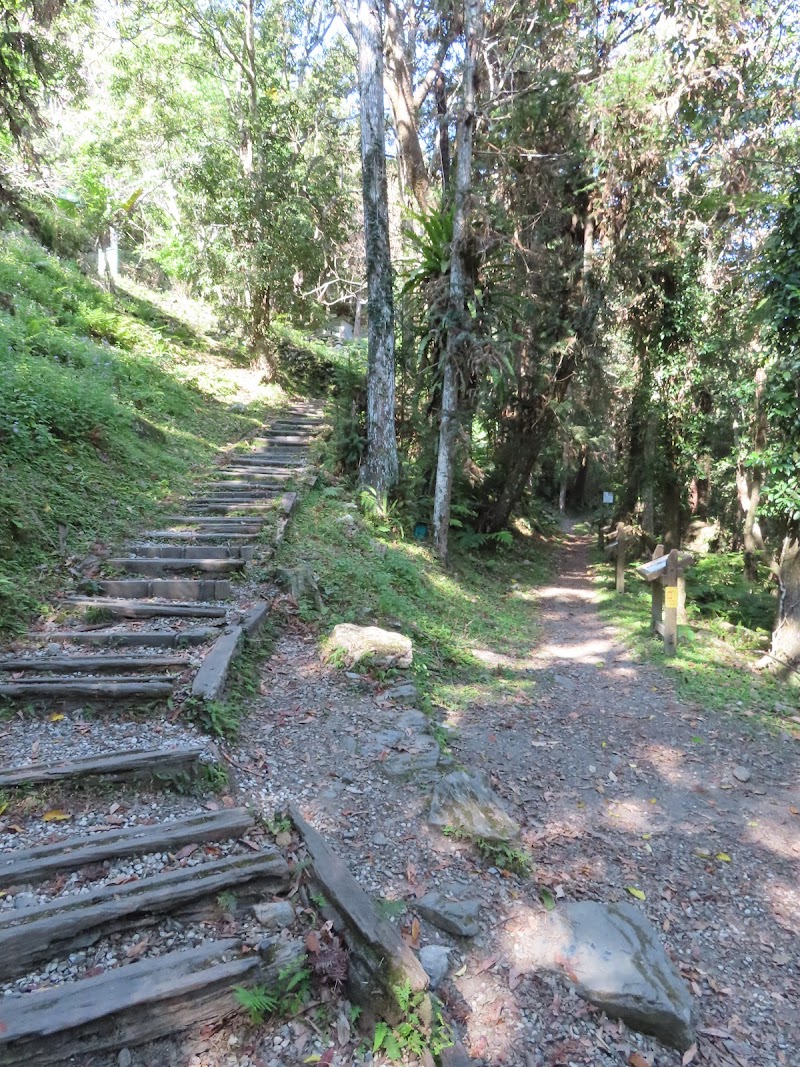 2023_八通關越道路 之 瓦拉米山屋~山風登山口**