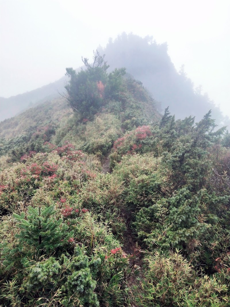 2020_南一段_DAY2 庫哈諾辛山屋~三千營地 ▲關山*