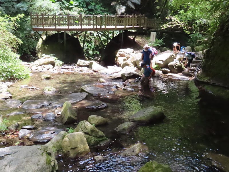 2022_森遊竹縣～馬胎古道 老鷹溪步道 青蛙石天空步道**