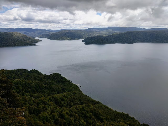 Lake Waikaremoana Great Walk Track Views