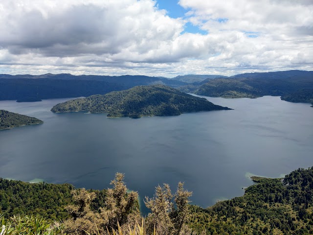 Lake Waikaremoana Great Walk Track Views