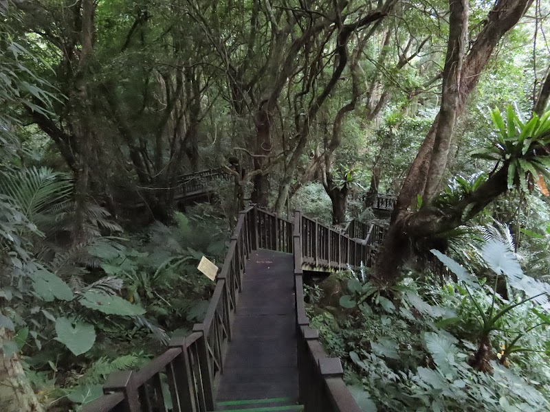 2022_森遊竹縣～馬胎古道 老鷹溪步道 青蛙石天空步道**